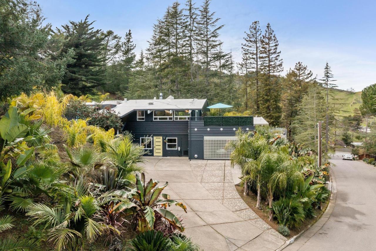Luxury Suite With Views - San Rafael, Gateway To Sf & Wine Country Zewnętrze zdjęcie