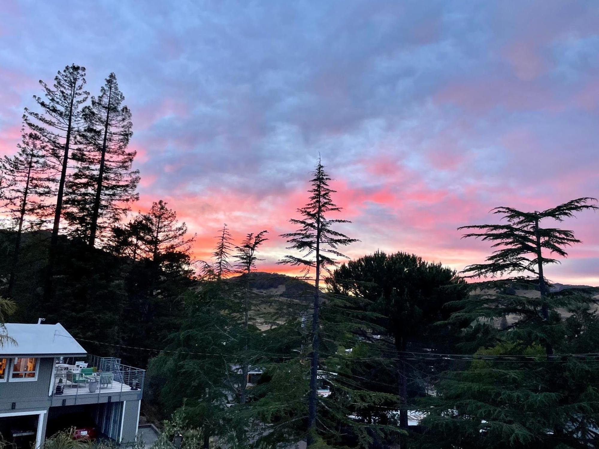 Luxury Suite With Views - San Rafael, Gateway To Sf & Wine Country Zewnętrze zdjęcie