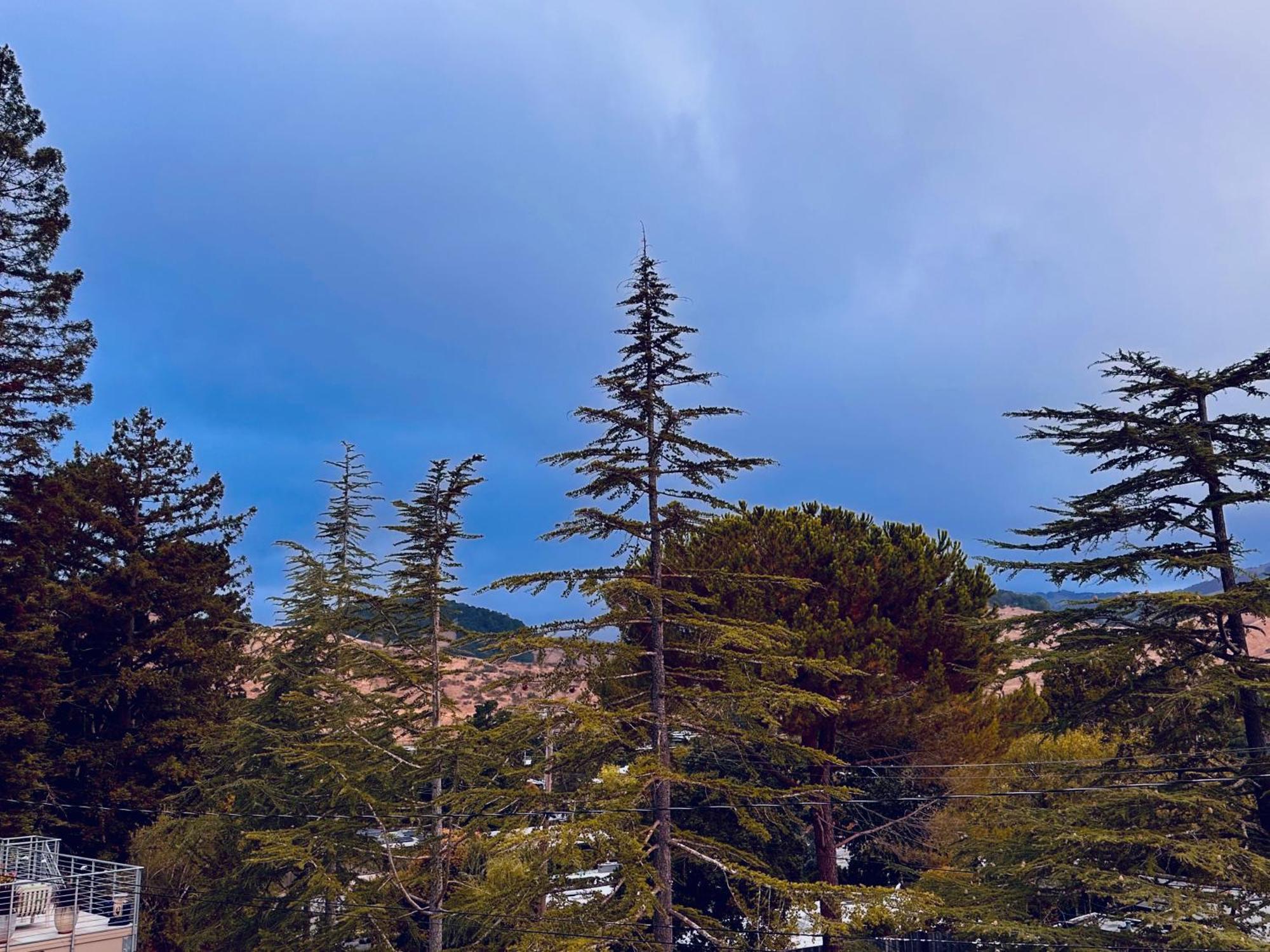 Luxury Suite With Views - San Rafael, Gateway To Sf & Wine Country Zewnętrze zdjęcie